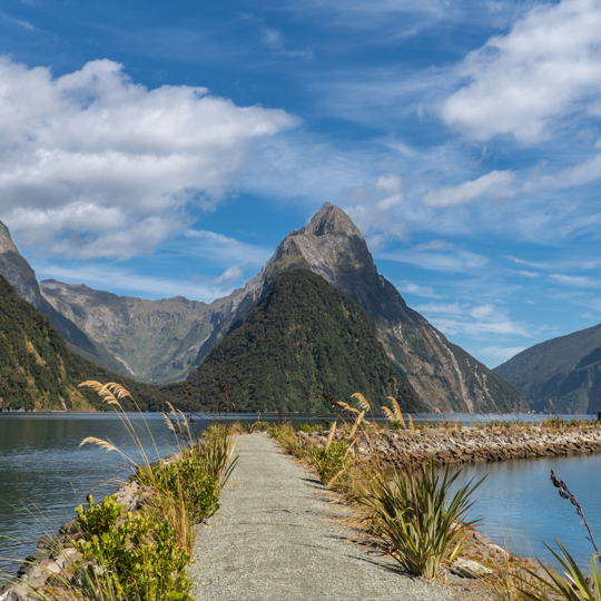 뉴질랜드 밀포드 트랙