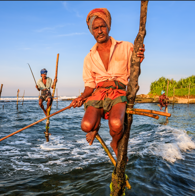 스리랑카+남인도  10월19일 출발 - 11박13일